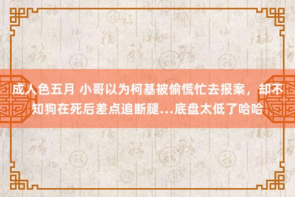 成人色五月 小哥以为柯基被偷慌忙去报案，却不知狗在死后差点追断腿…底盘太低了哈哈