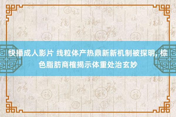 快播成人影片 线粒体产热鼎新新机制被探明， 棕色脂肪商榷揭示体重处治玄妙