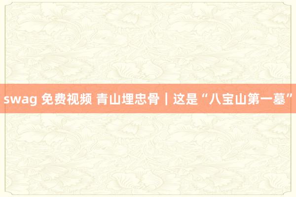 swag 免费视频 青山埋忠骨｜这是“八宝山第一墓”