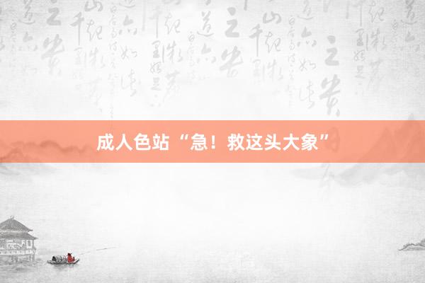 成人色站 “急！救这头大象”