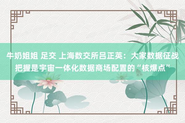 牛奶姐姐 足交 上海数交所吕正英：大家数据征战把握是宇宙一体化数据商场配置的“核爆点”