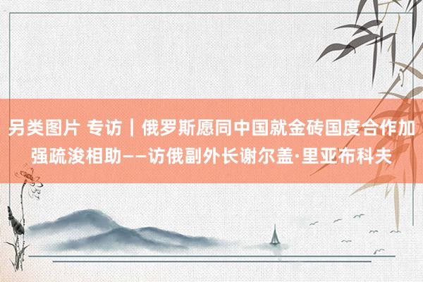 另类图片 专访｜俄罗斯愿同中国就金砖国度合作加强疏浚相助——访俄副外长谢尔盖·里亚布科夫
