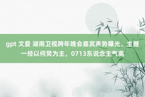 gpt 文爱 湖南卫视跨年晚会嘉宾声势曝光，主握一经以何炅为主，0713东说念主气高