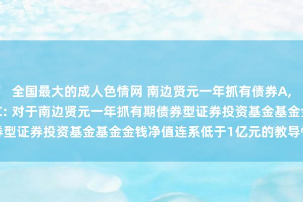 全国最大的成人色情网 南边贤元一年抓有债券A,南边贤元一年抓有债券C: 对于南边贤元一年抓有期债券型证券投资基金基金金钱净值连系低于1亿元的教导性公告