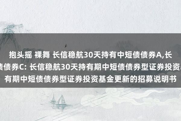 抱头摇 裸舞 长信稳航30天持有中短债债券A,长信稳航30天持有中短债债券C: 长信稳航30天持有期中短债债券型证券投资基金更新的招募说明书