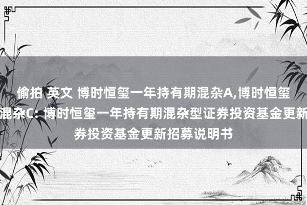 偷拍 英文 博时恒玺一年持有期混杂A,博时恒玺一年持有期混杂C: 博时恒玺一年持有期混杂型证券投资基金更新招募说明书