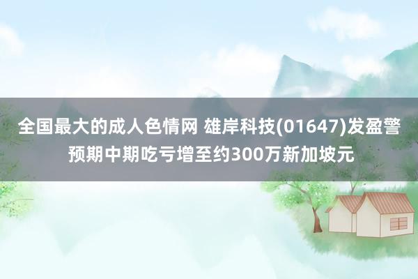 全国最大的成人色情网 雄岸科技(01647)发盈警 预期中期吃亏增至约300万新加坡元