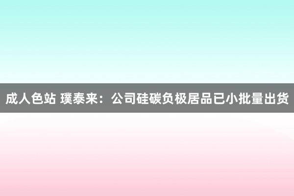 成人色站 璞泰来：公司硅碳负极居品已小批量出货