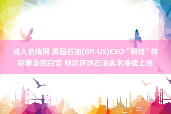 成人色情网 英国石油(BP.US)CEO“期待”特朗普重回白宫 预测环球石油需求接续上涨