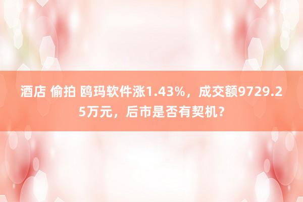 酒店 偷拍 鸥玛软件涨1.43%，成交额9729.25万元，后市是否有契机？