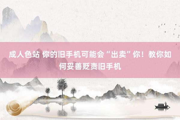 成人色站 你的旧手机可能会“出卖”你！教你如何妥善贬责旧手机