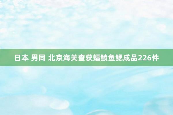 日本 男同 北京海关查获蝠鲼鱼鳃成品226件