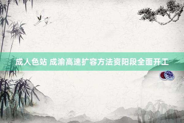 成人色站 成渝高速扩容方法资阳段全面开工