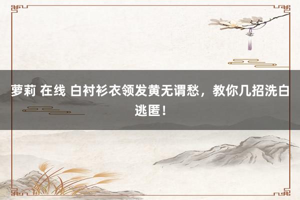 萝莉 在线 白衬衫衣领发黄无谓愁，教你几招洗白逃匿！