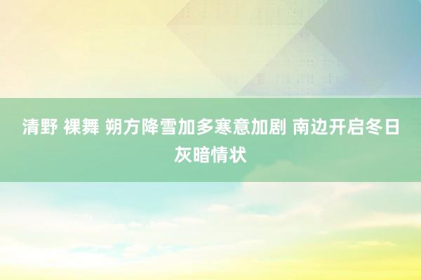 清野 裸舞 朔方降雪加多寒意加剧 南边开启冬日灰暗情状