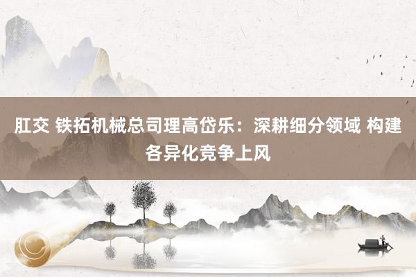 肛交 铁拓机械总司理高岱乐：深耕细分领域 构建各异化竞争上风