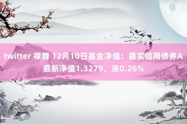 twitter 裸舞 12月10日基金净值：嘉实信用债券A最新净值1.3279，涨0.26%