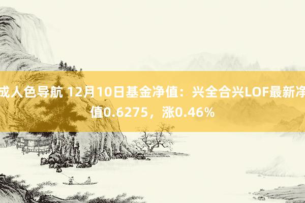 成人色导航 12月10日基金净值：兴全合兴LOF最新净值0.6275，涨0.46%