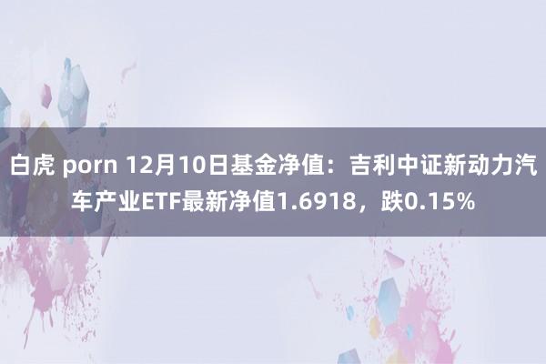白虎 porn 12月10日基金净值：吉利中证新动力汽车产业ETF最新净值1.6918，跌0.15%