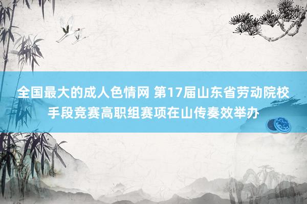 全国最大的成人色情网 第17届山东省劳动院校手段竞赛高职组赛项在山传奏效举办