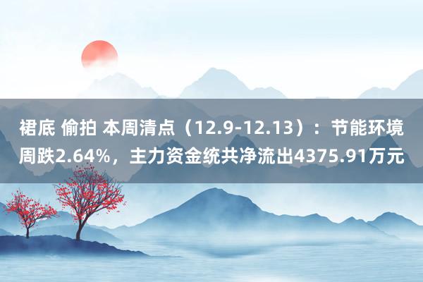 裙底 偷拍 本周清点（12.9-12.13）：节能环境周跌2.64%，主力资金统共净流出4375.91万元