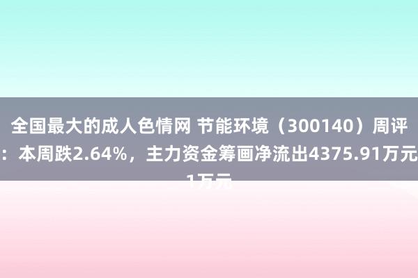 全国最大的成人色情网 节能环境（300140）周评：本周跌2.64%，主力资金筹画净流出4375.91万元