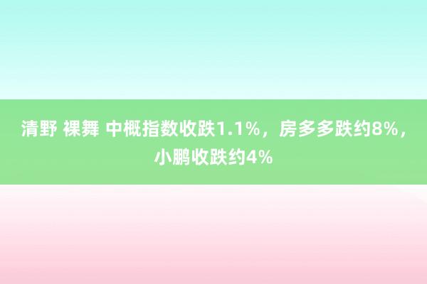 清野 裸舞 中概指数收跌1.1%，房多多跌约8%，小鹏收跌约4%