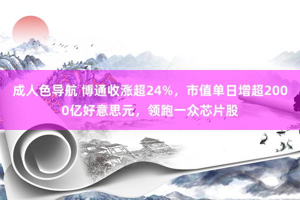 成人色导航 博通收涨超24%，市值单日增超2000亿好意思元，领跑一众芯片股
