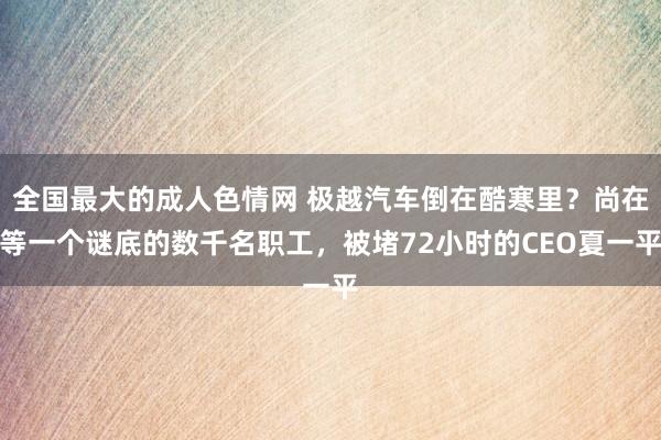 全国最大的成人色情网 极越汽车倒在酷寒里？尚在等一个谜底的数千名职工，被堵72小时的CEO夏一平