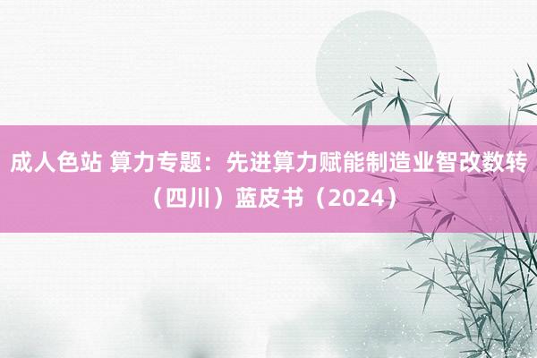 成人色站 算力专题：先进算力赋能制造业智改数转（四川）蓝皮书（2024）