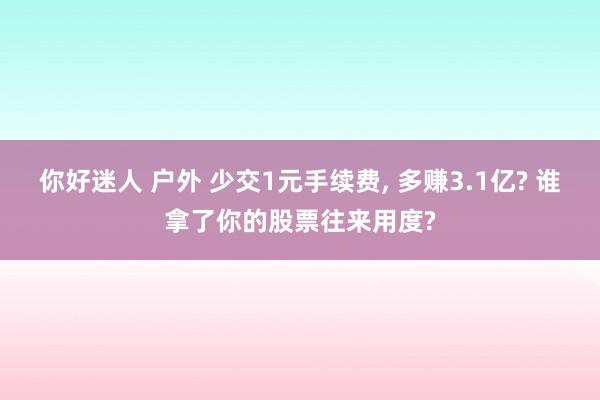 你好迷人 户外 少交1元手续费， 多赚3.1亿? 谁拿了你的股票往来用度?