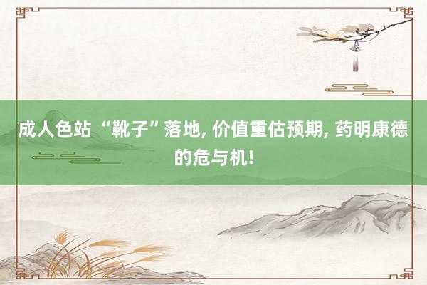 成人色站 “靴子”落地， 价值重估预期， 药明康德的危与机!