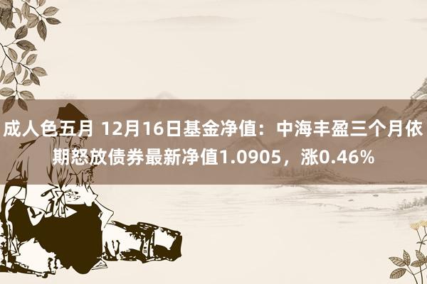 成人色五月 12月16日基金净值：中海丰盈三个月依期怒放债券最新净值1.0905，涨0.46%