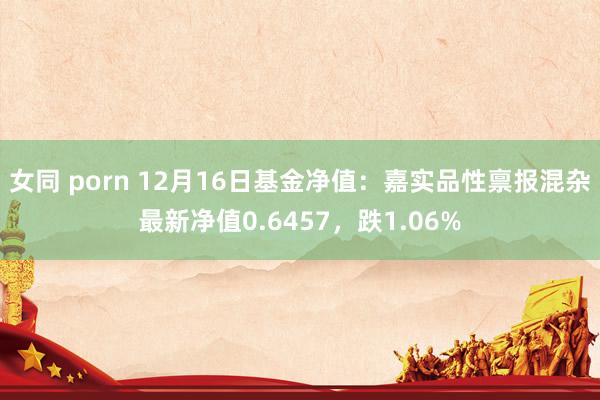 女同 porn 12月16日基金净值：嘉实品性禀报混杂最新净值0.6457，跌1.06%