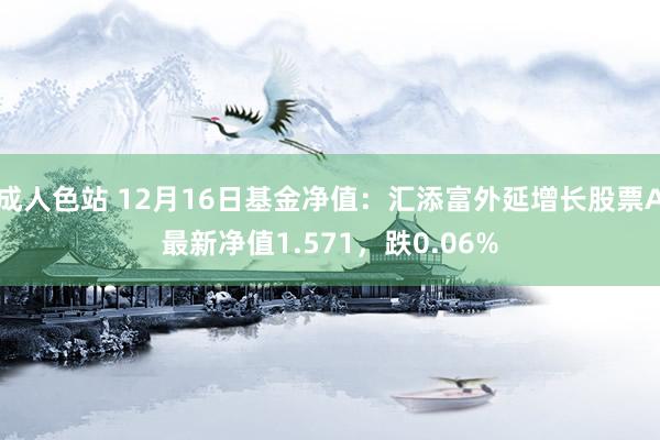 成人色站 12月16日基金净值：汇添富外延增长股票A最新净值1.571，跌0.06%