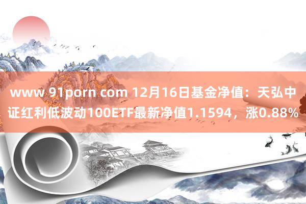 www 91porn com 12月16日基金净值：天弘中证红利低波动100ETF最新净值1.1594，涨0.88%