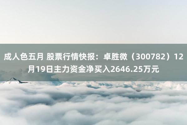 成人色五月 股票行情快报：卓胜微（300782）12月19日主力资金净买入2646.25万元