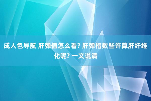 成人色导航 肝弹值怎么看? 肝弹指数些许算肝纤维化呢? 一文说清