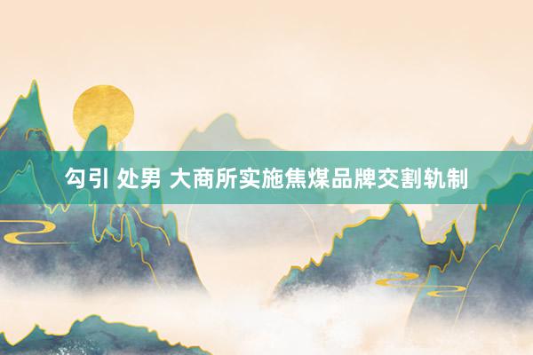 勾引 处男 大商所实施焦煤品牌交割轨制