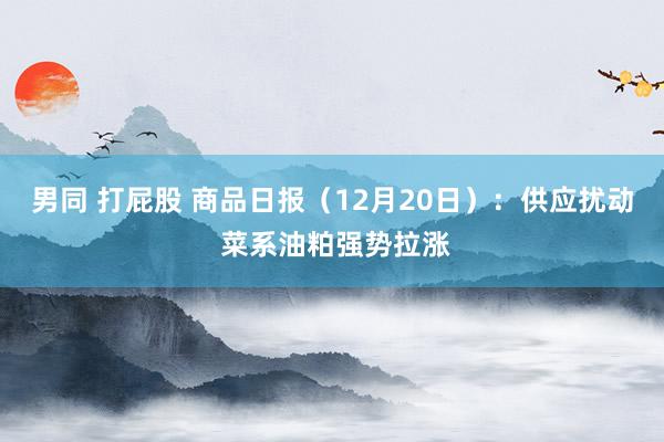 男同 打屁股 商品日报（12月20日）：供应扰动 菜系油粕强势拉涨