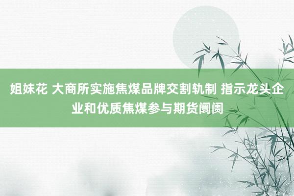 姐妹花 大商所实施焦煤品牌交割轨制 指示龙头企业和优质焦煤参与期货阛阓