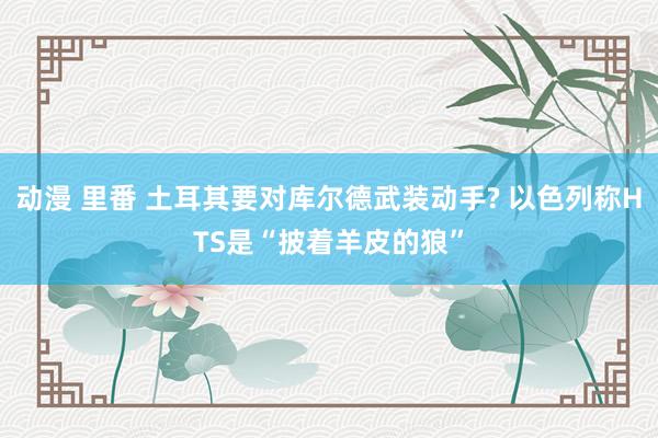 动漫 里番 土耳其要对库尔德武装动手? 以色列称HTS是“披着羊皮的狼”