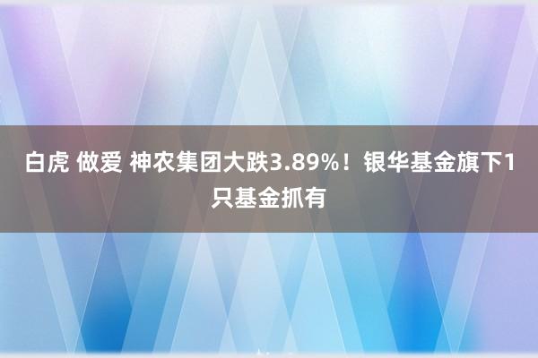 白虎 做爱 神农集团大跌3.89%！银华基金旗下1只基金抓有