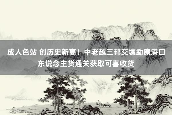 成人色站 创历史新高！中老越三邦交壤勐康港口东说念主货通关获取可喜收货