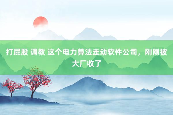 打屁股 调教 这个电力算法走动软件公司，刚刚被大厂收了