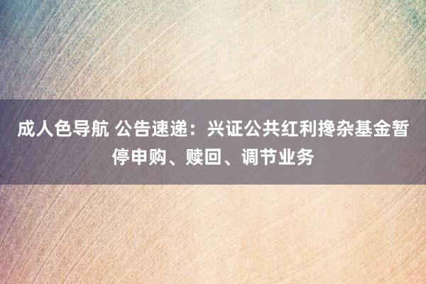 成人色导航 公告速递：兴证公共红利搀杂基金暂停申购、赎回、调节业务