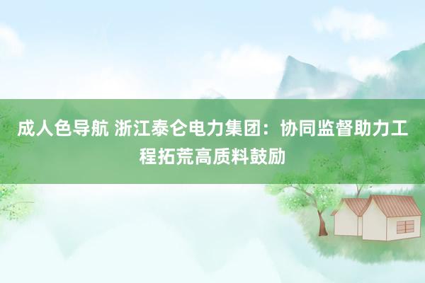 成人色导航 浙江泰仑电力集团：协同监督助力工程拓荒高质料鼓励