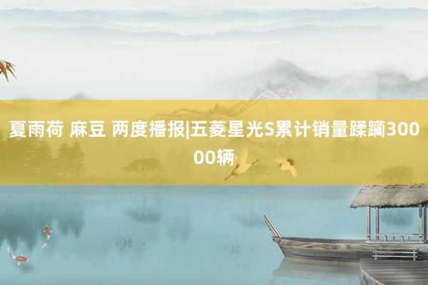 夏雨荷 麻豆 两度播报|五菱星光S累计销量蹂躏30000辆