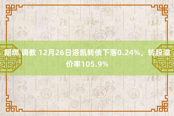 捆绑 调教 12月26日洛凯转债下落0.24%，转股溢价率105.9%
