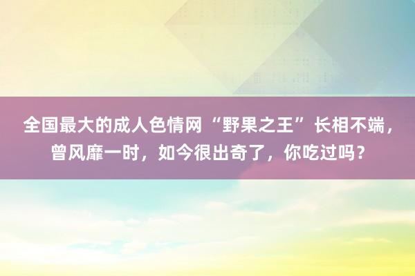 全国最大的成人色情网 “野果之王” 长相不端，曾风靡一时，如今很出奇了，你吃过吗？